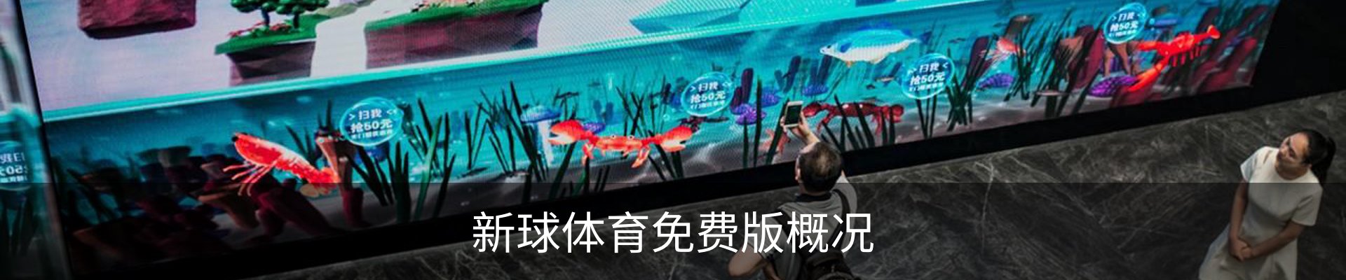 新球体育免费版概况